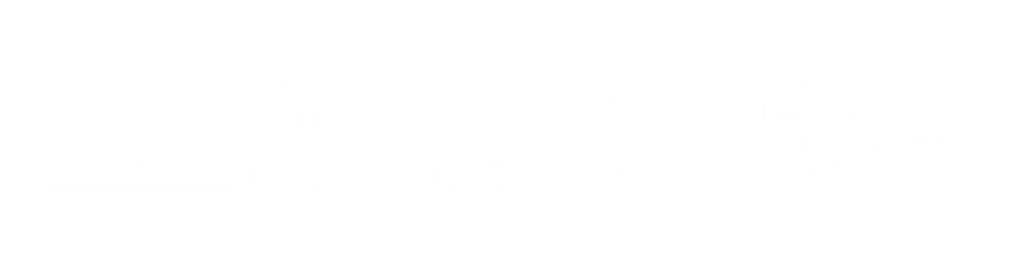 Banner financiado por la unión europea